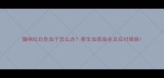 猫咪吐白色虫子怎么办寄生虫感染全及应对措施