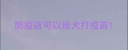 防疫店可以给犬打疫苗