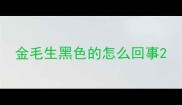 金毛生黑色的怎么回事