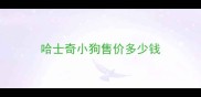 哈士奇小狗售价多少钱