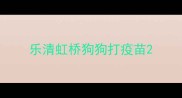 乐清虹桥狗狗打疫苗
