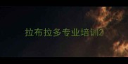 拉布拉多专业培训