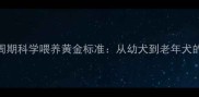 金毛犬全生命周期科学喂养黄金标准从幼犬到老年犬的饮食营养指南