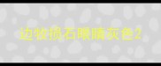 边牧损石眼睛灰色