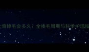 哈士奇掉毛会多久全换毛周期与科学护理指南