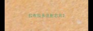 拉布拉多注射芯片