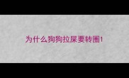 为什么狗狗拉屎要转圈