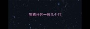 狗狗补钙一般几个月