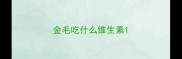 金毛吃什么维生素