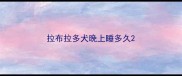 拉布拉多犬晚上睡多久