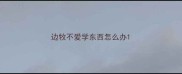 边牧不爱学东西怎么办