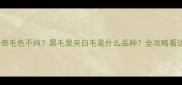 哈士奇毛色不纯黑毛里夹白毛是什么品种全攻略看这里