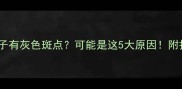 边牧鼻子有灰色斑点可能是这5大原因附护理指南