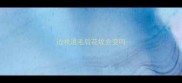 边牧退毛后花纹会变吗