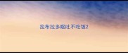 拉布拉多呕吐不吃饭