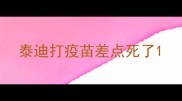 泰迪打疫苗差点死了