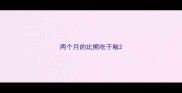 两个月的比熊吃干粮