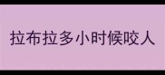 拉布拉多小时候咬人