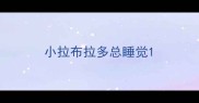 小拉布拉多总睡觉