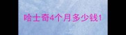 哈士奇4个月多少钱