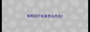 狗狗没打疫苗怎么托运