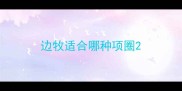边牧适合哪种项圈