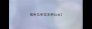 黑色拉布拉多种公犬