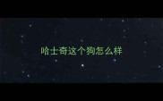 哈士奇这个狗怎么样