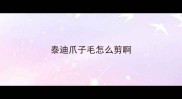 泰迪爪子毛怎么剪啊