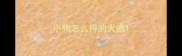 小狗怎么得的犬瘟