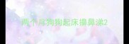两个月狗狗起床擤鼻涕