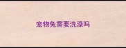 宠物兔需要洗澡吗