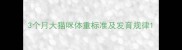 3个月大猫咪体重标准及发育规律