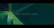 狗狗打完疫苗身上会痛吗