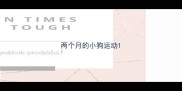 两个月的小狗运动