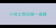 小哈士奇拉稀一直睡