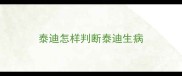 泰迪怎样判断泰迪生病
