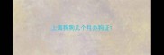 上海狗狗几个月办狗证