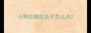 小狗拉稀吐虫子怎么办