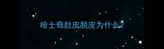 哈士奇肚皮脱皮为什么