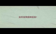 如何给狗接种疫苗