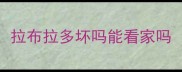 拉布拉多坏吗能看家吗