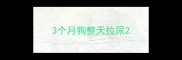 3个月狗整天拉尿
