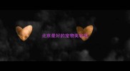 北京最好的宠物美容店