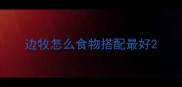 边牧怎么食物搭配最好