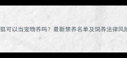 赤狐可以当宠物养吗最新禁养名单及饲养法律风险