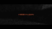 小狗需要打什么疫苗吗