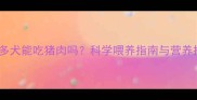 拉布拉多犬能吃猪肉吗科学喂养指南与营养搭配全