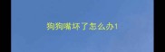 狗狗嘴坏了怎么办