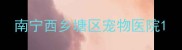 南宁西乡塘区宠物医院